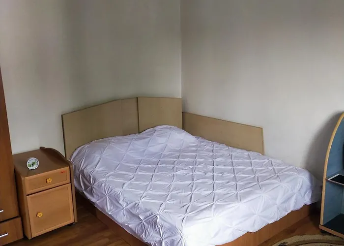 Apartament Elena Ap 2 *