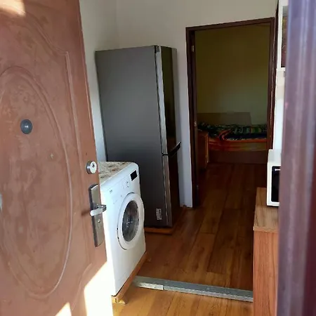 Apartment Vila Elena Ap 2 Bucharest